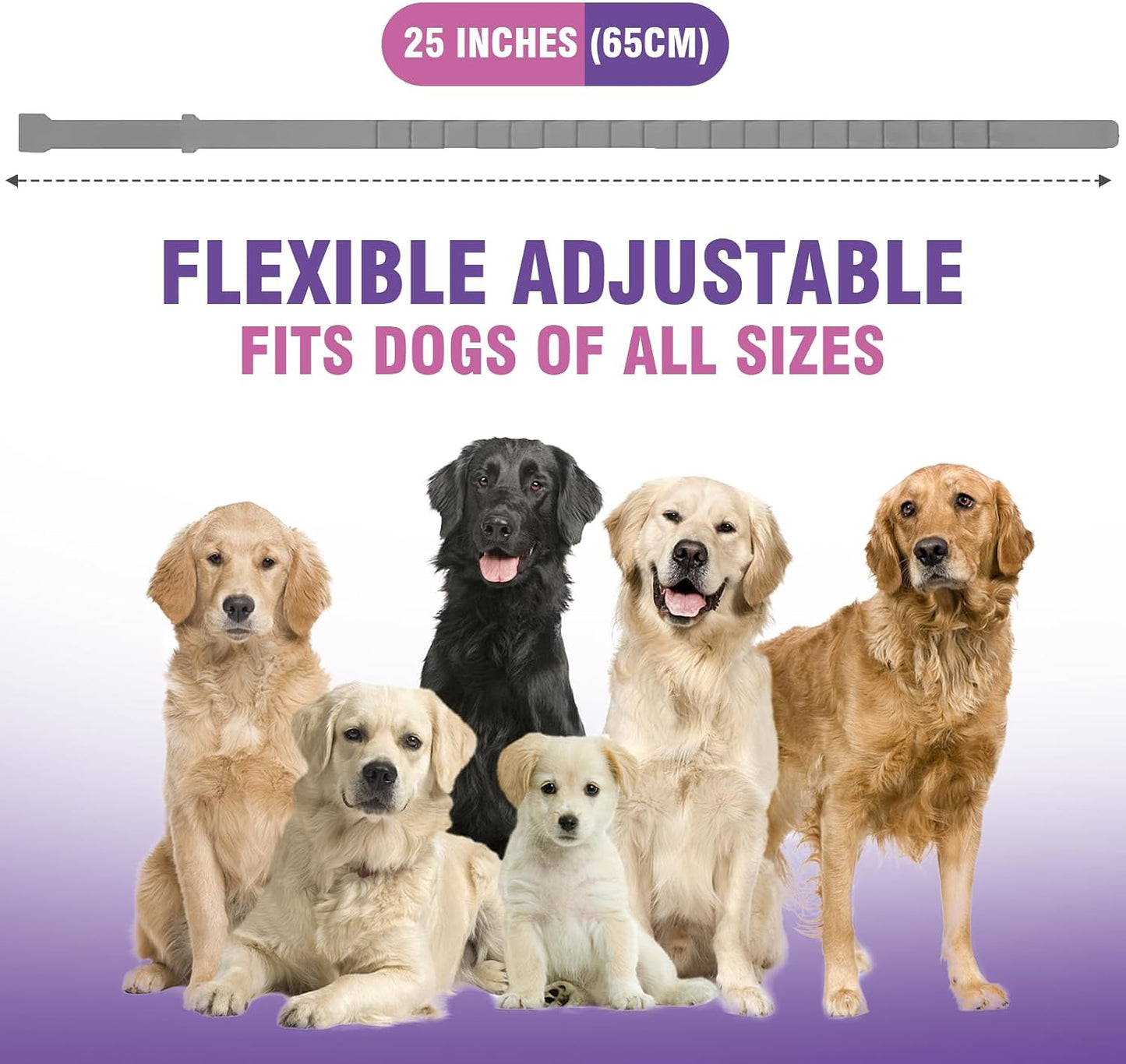 CalmPaw™ Calming Collar for Dogs