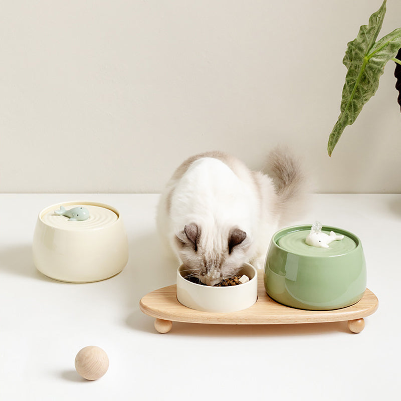 Whale Automatic Small Pet Fountain