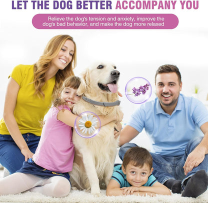 CalmPaw™ Calming Collar for Dogs