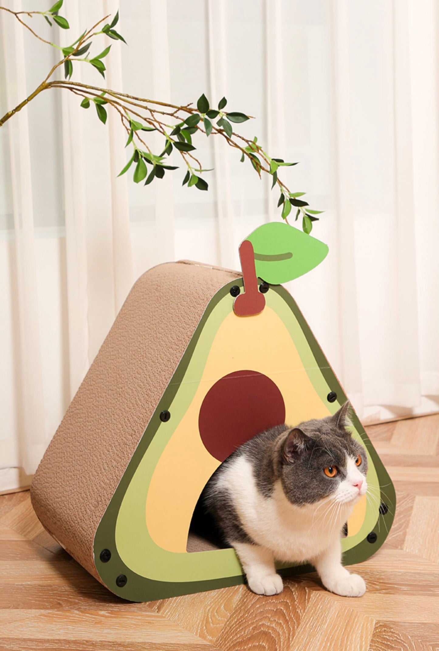 Vegetable Cat Scratching Board