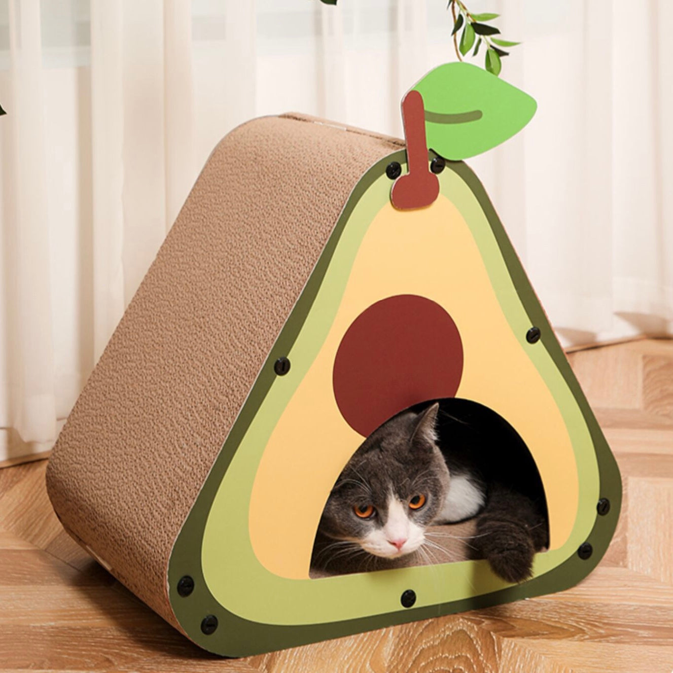 Vegetable Cat Scratching Board