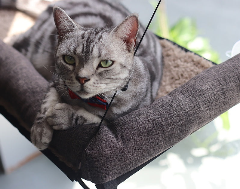 Wrapround Cat Hammock