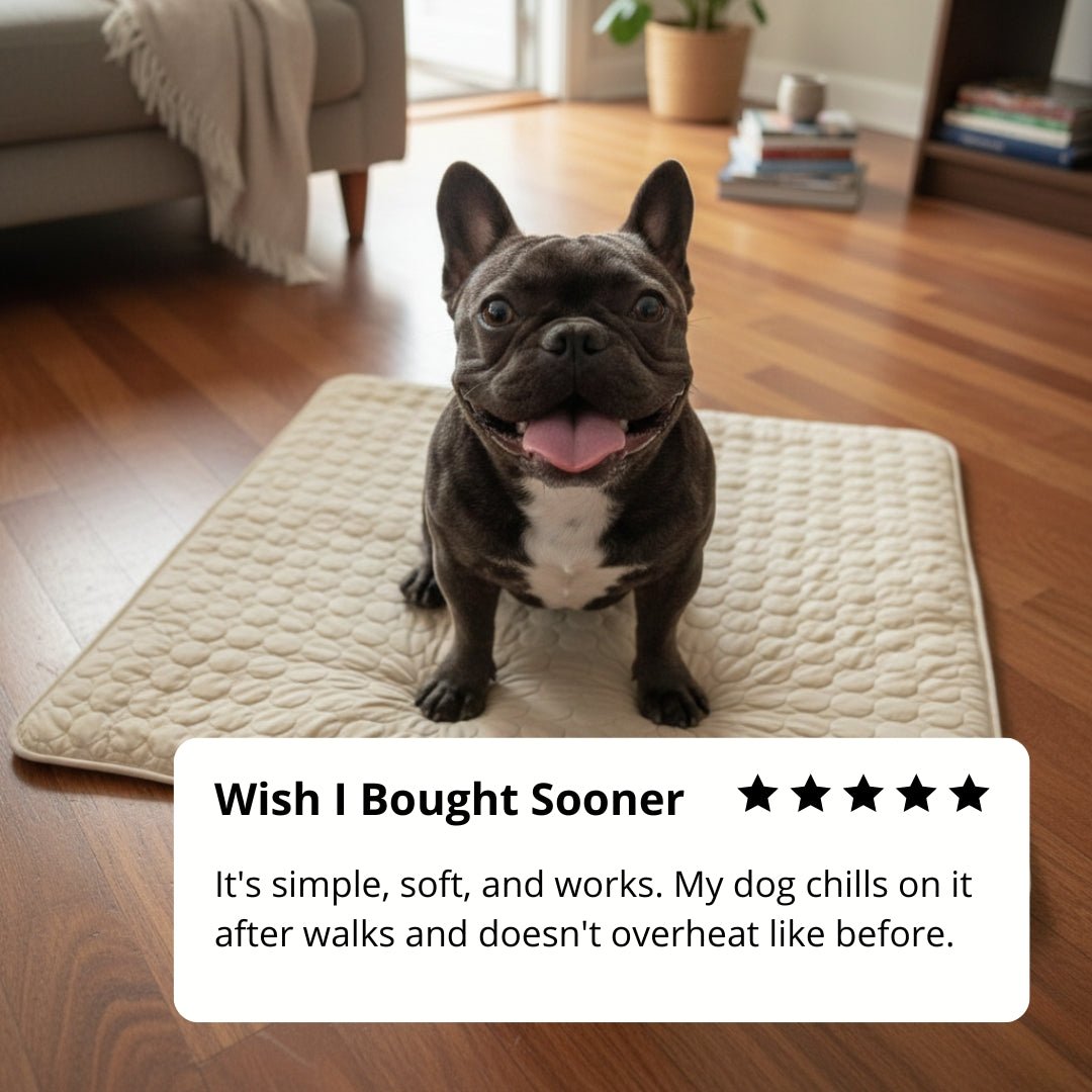 My Serava™ Cooling Dog Mat