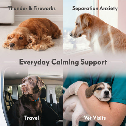 Serava™ Calming Anxiety Vest