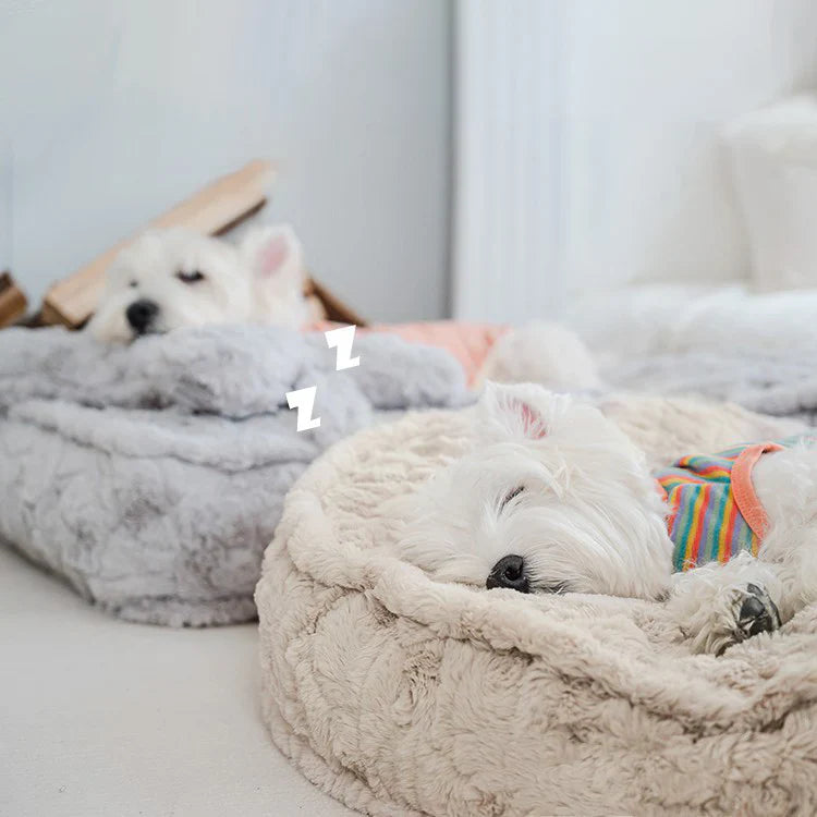 Warming Fluffy Bone Cloud Shape Calming Dog Bed