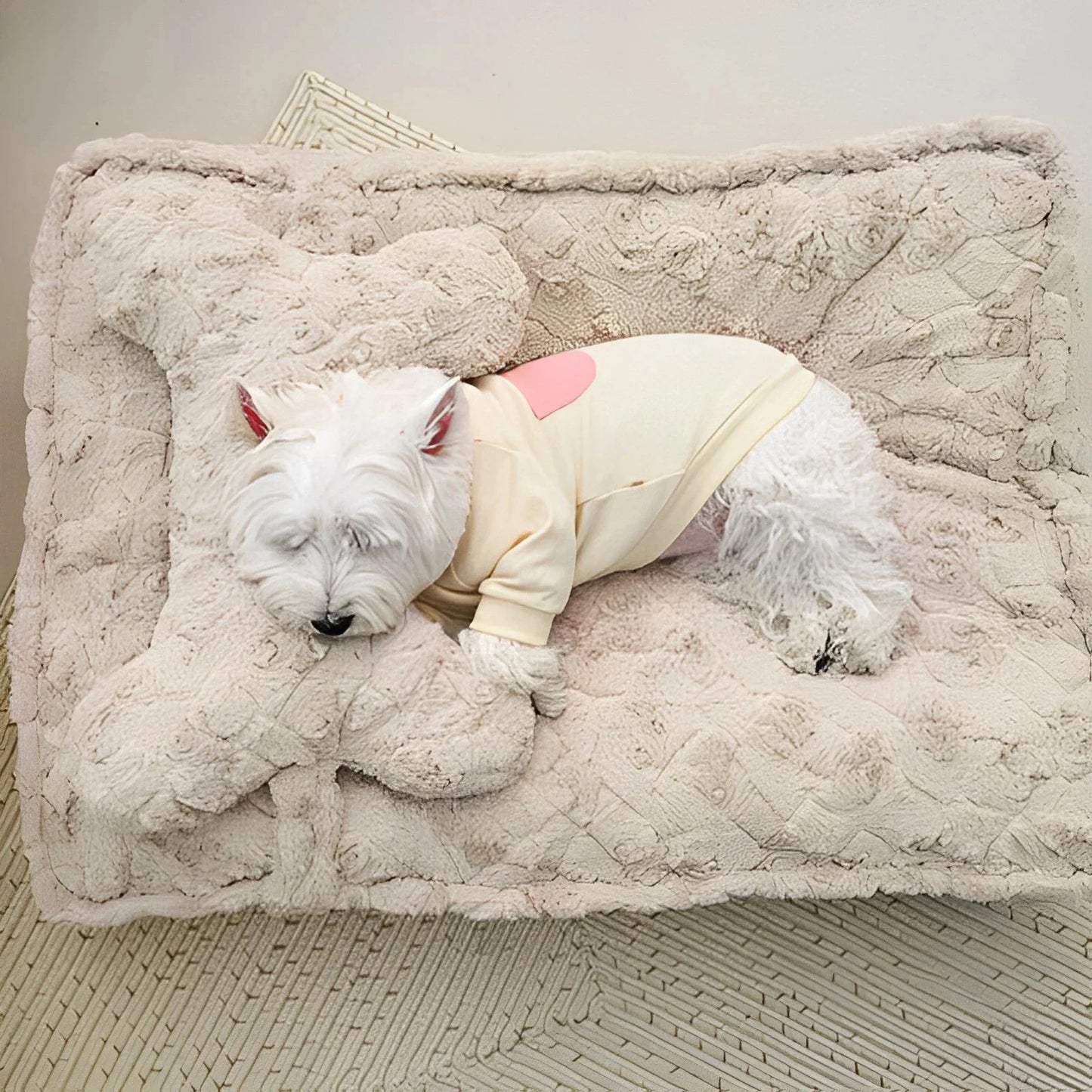 Warming Fluffy Bone Cloud Shape Calming Dog Bed
